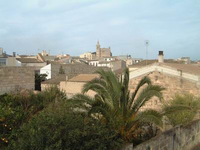 DSCF0020.JPG